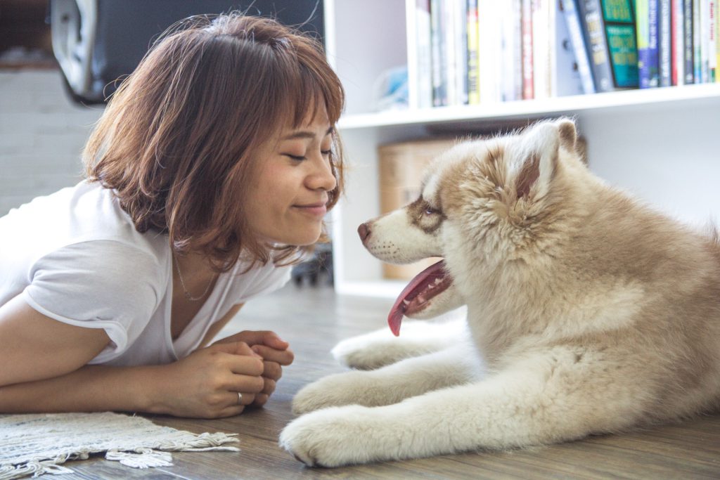 are service dogs in training allowed access to public places