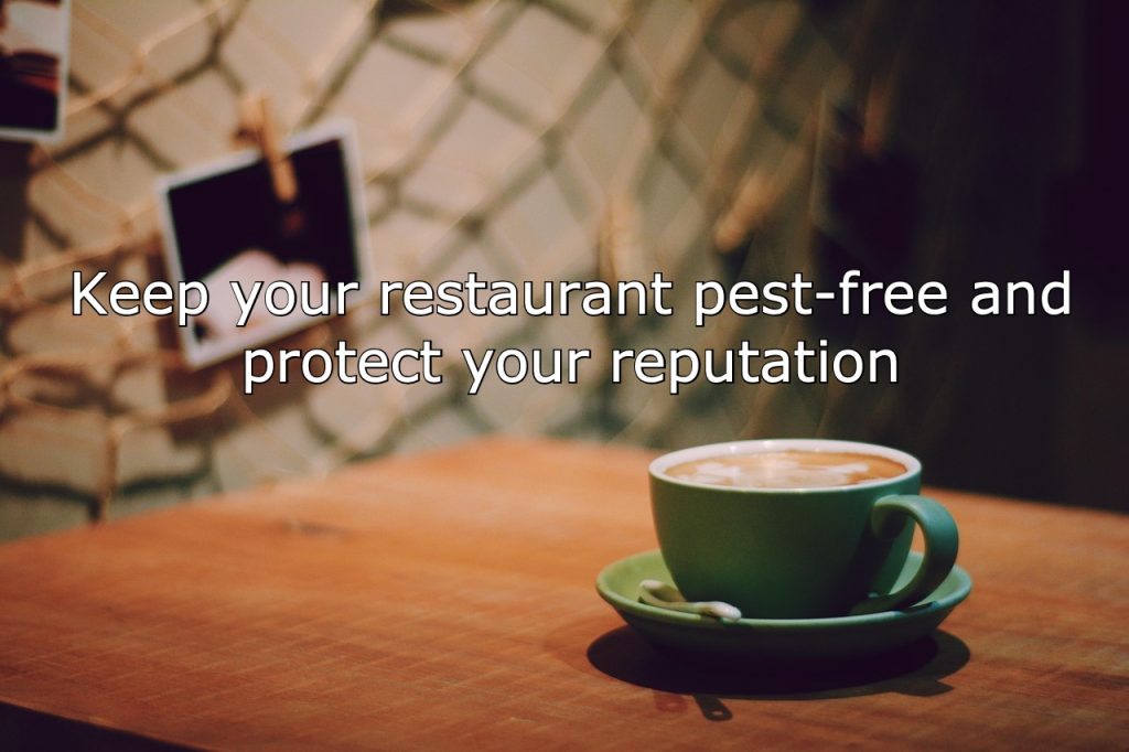 Prevention & Solutions for Food Safety